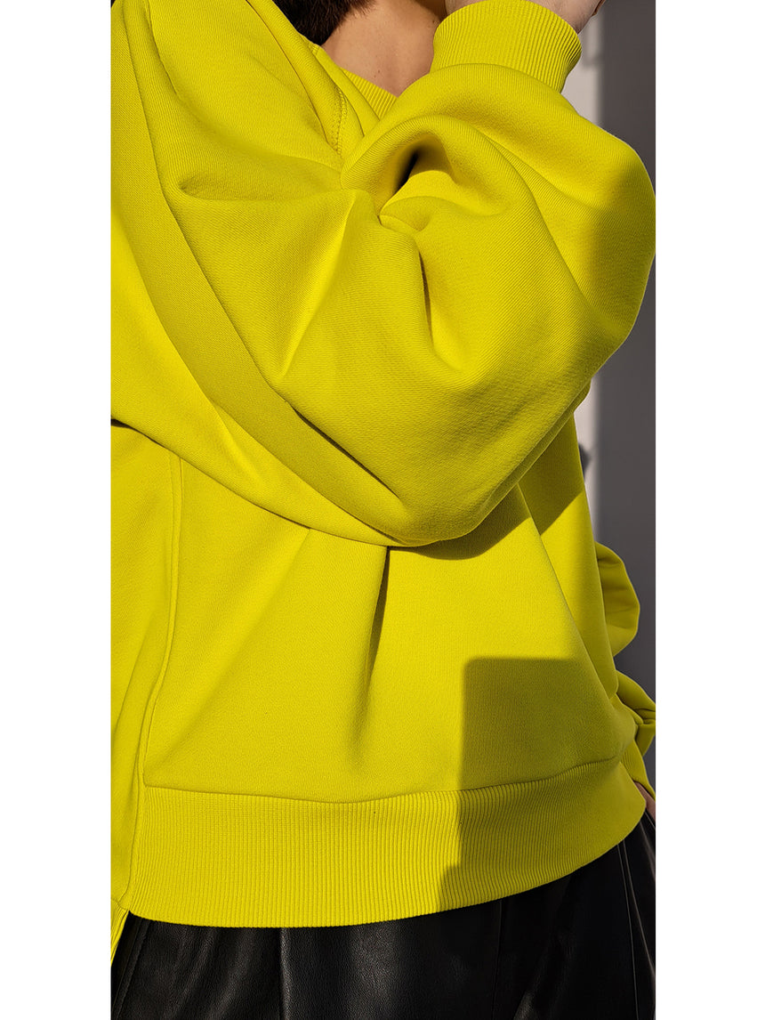 PARROT PILLOW Sweatshirt