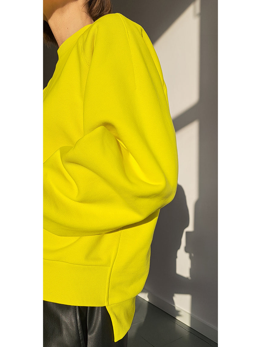 PARROT PILLOW Sweatshirt