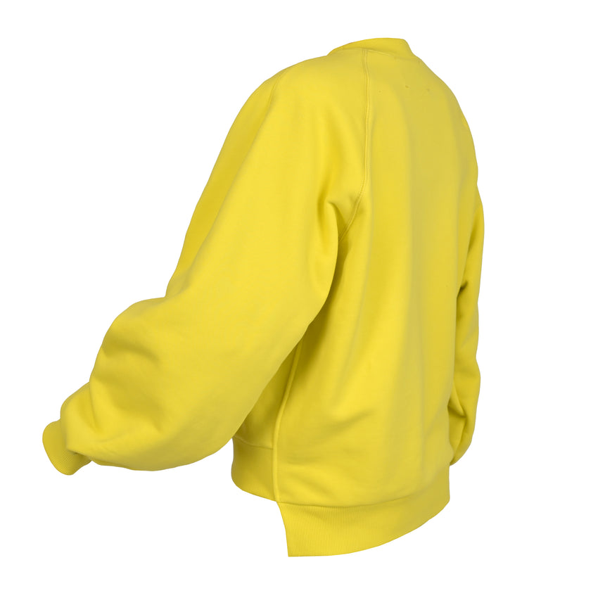 PARROT PILLOW Sweatshirt